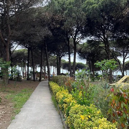 Durres Relax Golem (Tirana)